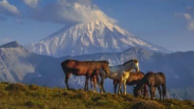 ای گنبد گیتی ای دماوند...