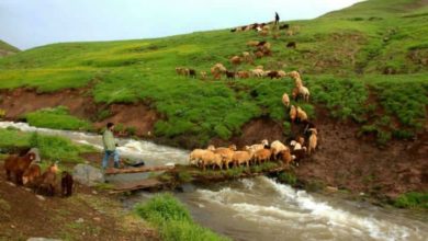 مِشگین‌شهر؛ همه زیبایی و زندگی...