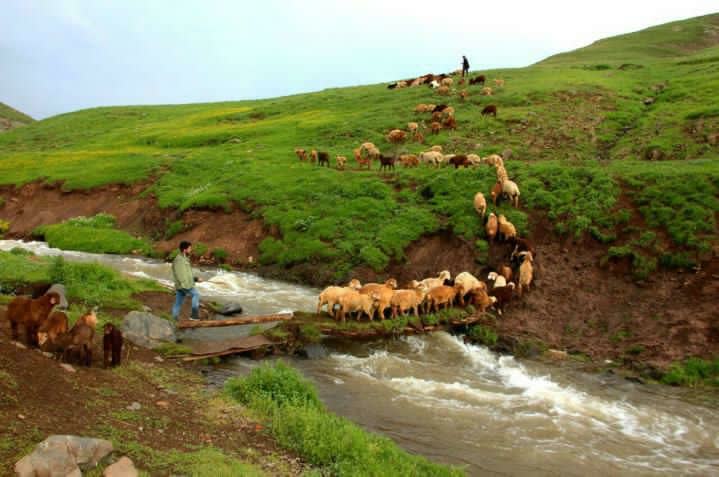 مِشگین‌شهر؛ همه زیبایی و زندگی...