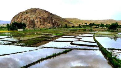 طبیعت زیبای روستای کوجنق مشگین شهر