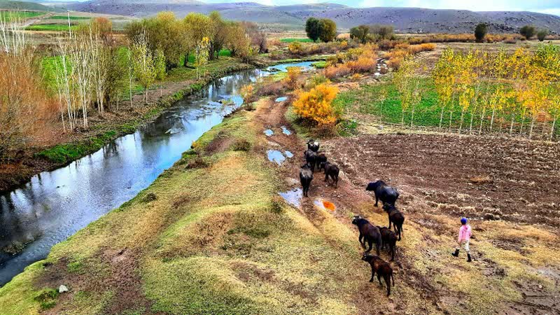 طبیعت روستای قادرلو/مشگین شهر