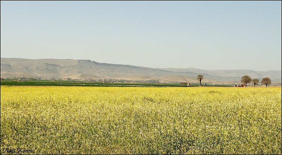 نگاهی به تاریخچه یک راه توریستی در حوالی شیراز به داریون 1 daryon