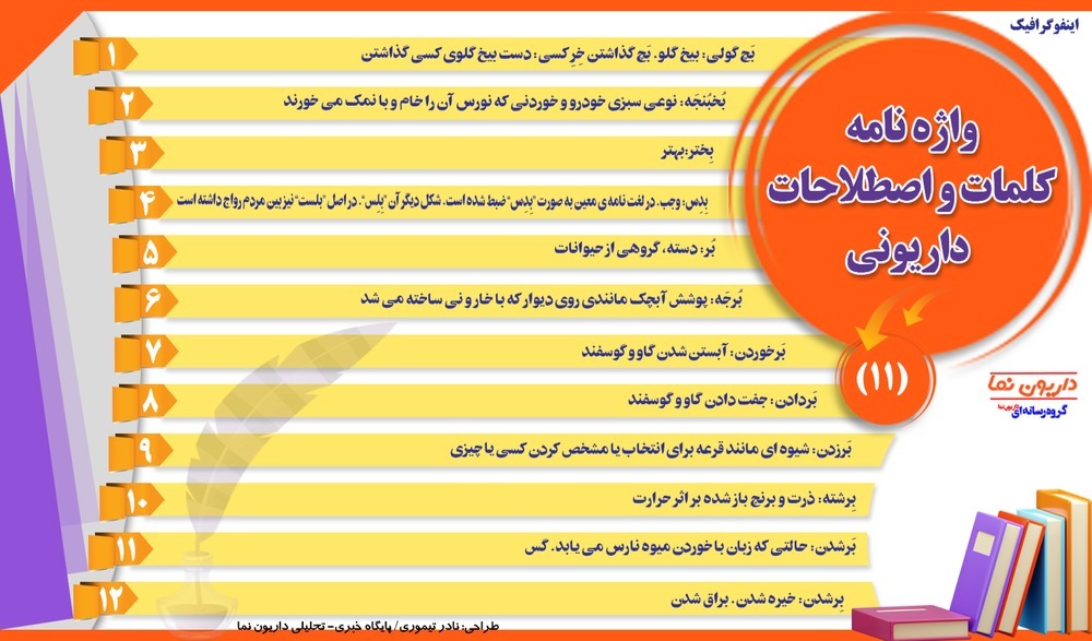 توریسم و اصطلاحات فرهنگی داریونی ها 1 info 5